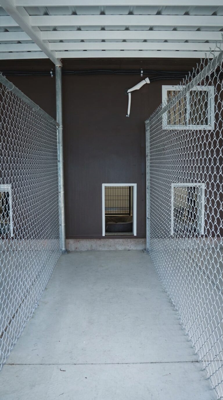 The covered barn aisle of the boarding barn at K9 Basecamp, with a trainer and dogs waiting at the far end