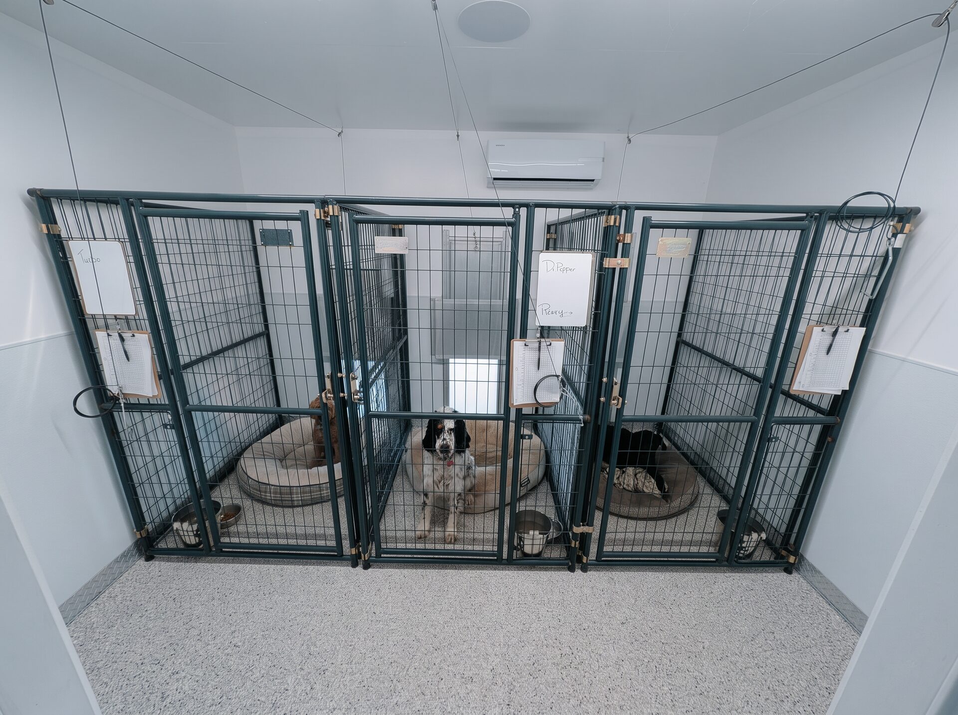 Dogs resting in individual indoor boarding kennels with beds and feeding charts at K9 Basecamp