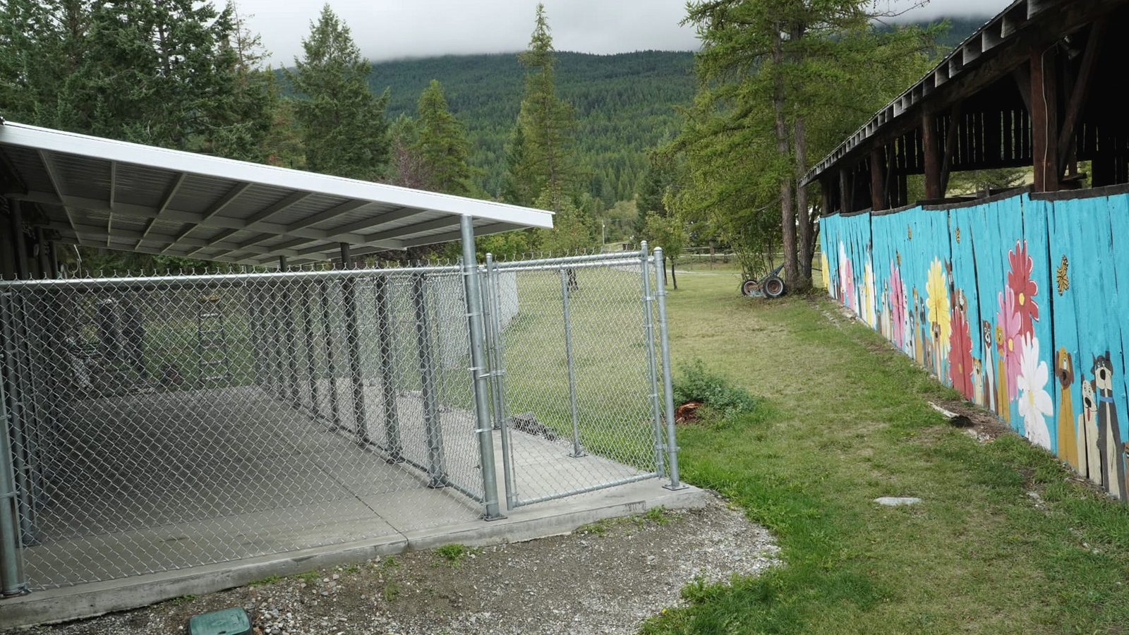 Covered chain-link kennel runs beside the painted dog mural fence, with forested mountains behind, at K9 Basecamp