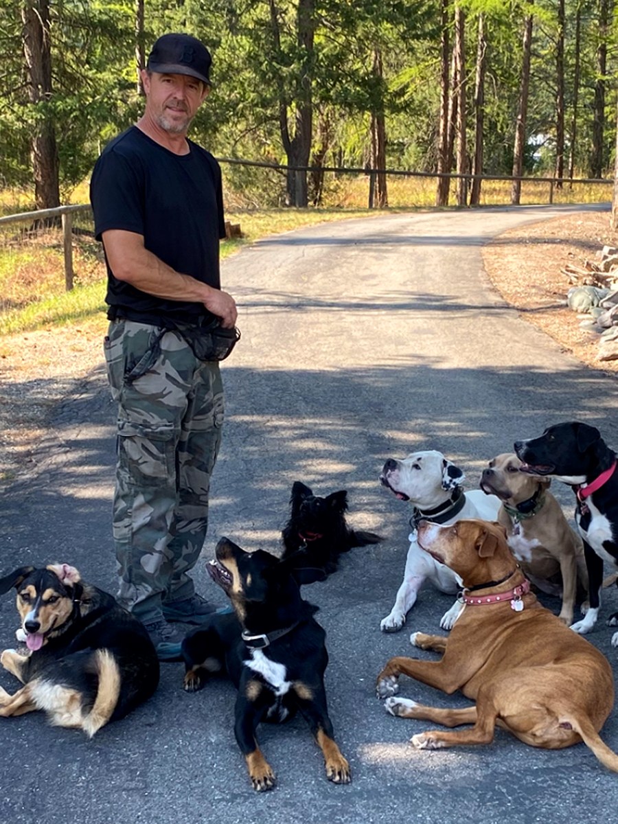 Chris Urban standing on the property driveway with a group of dogs lying calmly around him