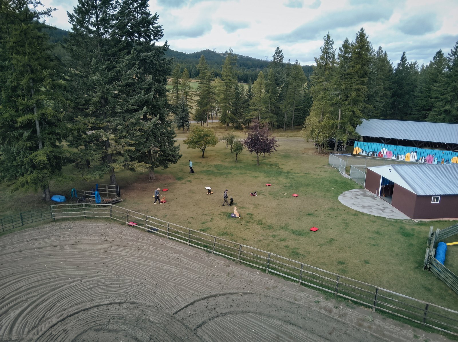 Aerial view of handlers working with dogs on the open training lawn at K9 Basecamp